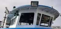 கேட்டமரன் விற்பனைக்கு