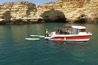 டைவ் ஆதரவு விற்பனைக்கு