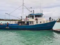 டிராலர் விற்பனைக்கு