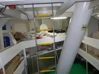 ப bulk கேரியர் விற்பனைக்கு