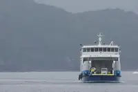 ரோ-ரோ கப்பல் விற்பனைக்கு