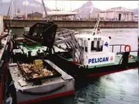 பarge விற்பனைக்கு