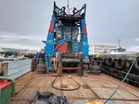 இழுக்கும் படகு விற்பனைக்கு