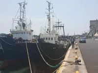 டிராலர் விற்பனைக்கு