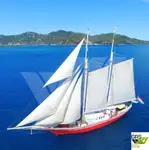 பயணக் கப்பல் விற்பனைக்கு