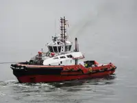 இழுவை படகு விற்பனைக்கு