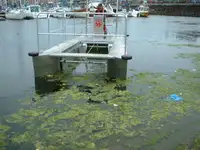 சரக்கு கப்பல் விற்பனைக்கு