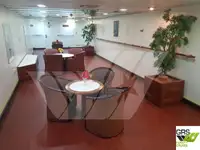 ரோ-ரோ கப்பல் விற்பனைக்கு