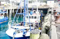எல்என்ஜி கொண்டு செல்லும் கப்பல் விற்பனைக்கு