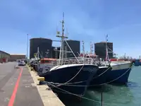 Longliner விற்பனைக்கு