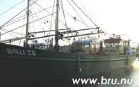 டிராலர் விற்பனைக்கு