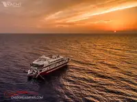 டைவ் ஆதரவு விற்பனைக்கு