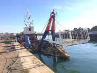 தோண்டுபவர் விற்பனைக்கு