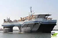 டைவ் ஆதரவு விற்பனைக்கு