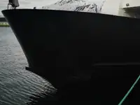 ரோ-ரோ கப்பல் விற்பனைக்கு