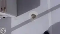 டைவ் ஆதரவு விற்பனைக்கு