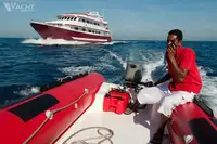 டைவ் ஆதரவு விற்பனைக்கு