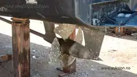 கேட்டமரன் விற்பனைக்கு