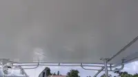 டைவ் ஆதரவு விற்பனைக்கு