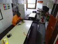 இழுக்கும் படகு விற்பனைக்கு
