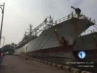 ஸ்க்விட் ஜிகர் விற்பனைக்கு