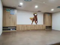 குளிர்சாதனக் கப்பல் விற்பனைக்கு