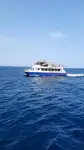 கேடமரன் விற்பனைக்கு