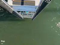 குரூஸ்ஃபெர்ரி விற்பனைக்கு