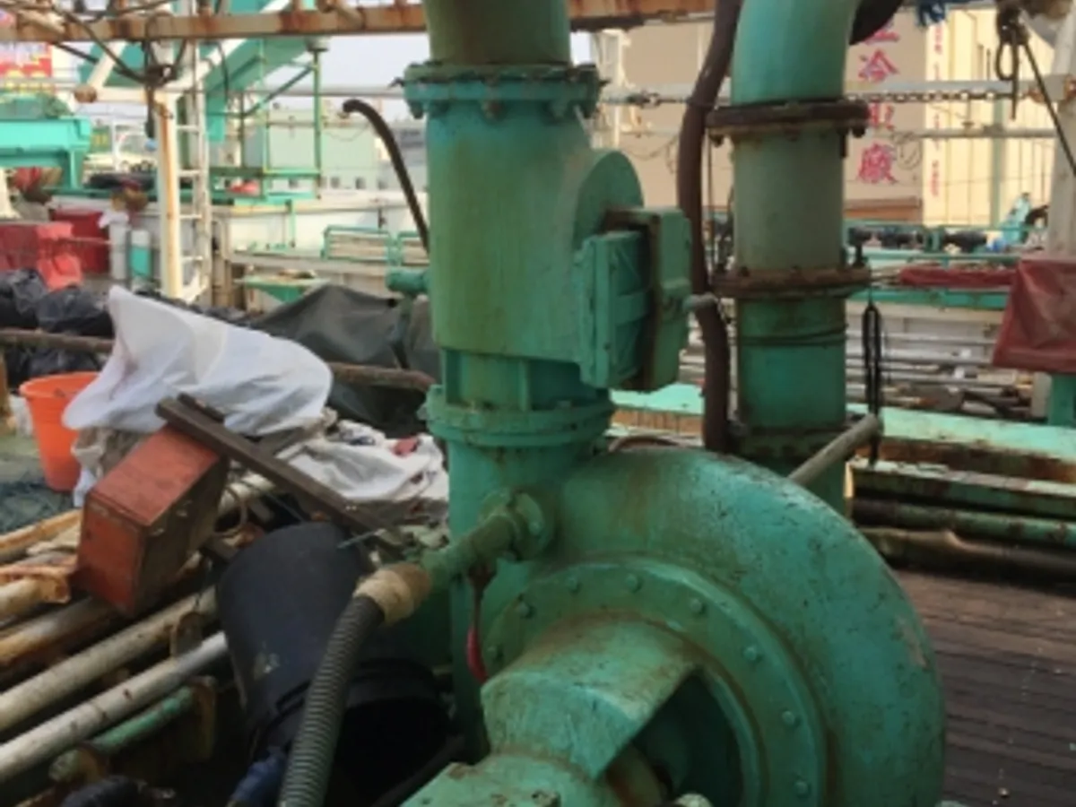 ஸ்க்விட் ஜிகர் விற்பனைக்கு