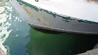 டிராலர் விற்பனைக்கு