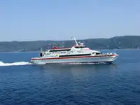 கேடமரன் விற்பனைக்கு