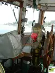 இழுக்கும் படகு விற்பனைக்கு