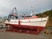 டிராலர் விற்பனைக்கு