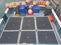 லாங்லைனர் விற்பனைக்கு