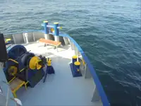 குளிர்சாதனக் கப்பல் விற்பனைக்கு