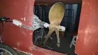 டிராலர் விற்பனைக்கு
