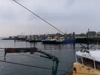 டிராலர் விற்பனைக்கு