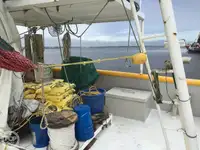 டிராலர் விற்பனைக்கு