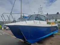 டிராலர் விற்பனைக்கு