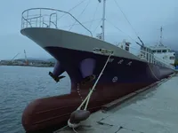 General Cargo/Multi-purpose விற்பனைக்கு