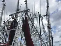 டிராலர் விற்பனைக்கு