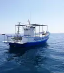 டிராலர் விற்பனைக்கு