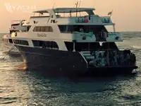 டைவ் ஆதரவு விற்பனைக்கு