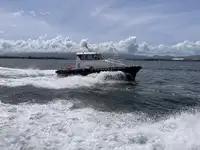 பைலட் படகு விற்பனைக்கு