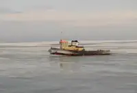 இழுவை படகு விற்பனைக்கு