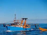 Trawler விற்பனைக்கு
