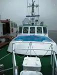 பைலட் படகு விற்பனைக்கு