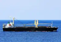 மொத்த கேரியர் விற்பனைக்கு