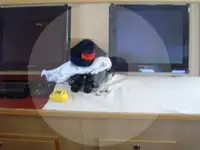 டிராலர் விற்பனைக்கு