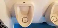 கேட்டமரன் விற்பனைக்கு